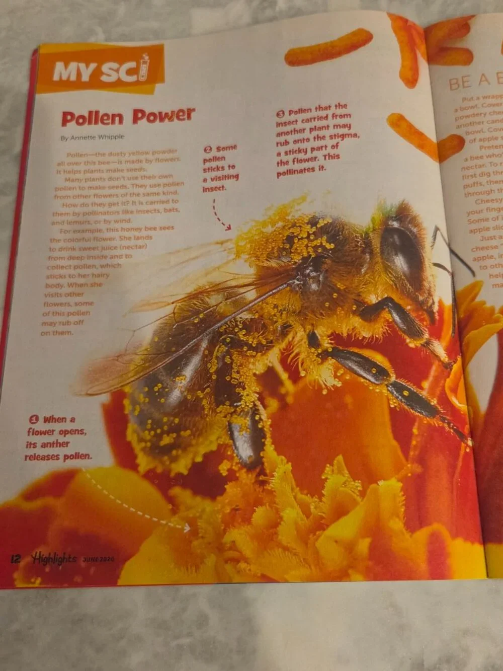 HIGHLIGHTS, FOUR ACTIVITY KIDS' MAGAZINES